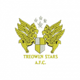 Treowen Stars AFC