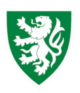 Pontnewydd United FC