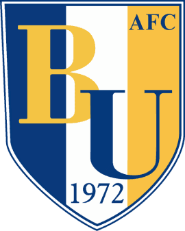 Brideview United FC