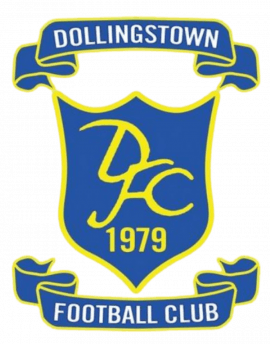 Dollingstown FC
