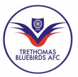 Trethomas Bluebirds AFC