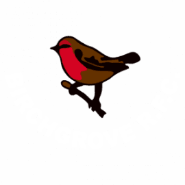 Birchgrove RFC