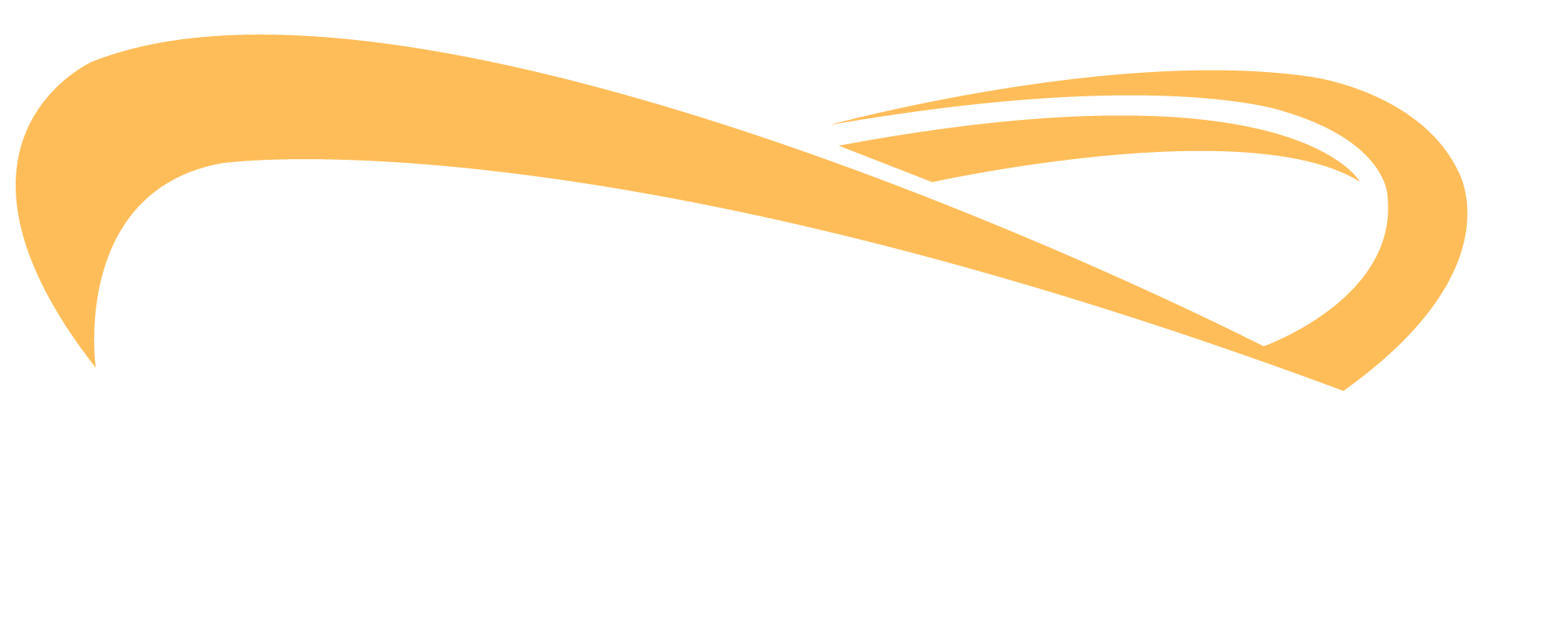 Logo white